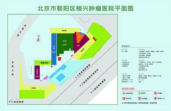 扣逼哦哦哦哦北京市朝阳区桓兴肿瘤医院平面图